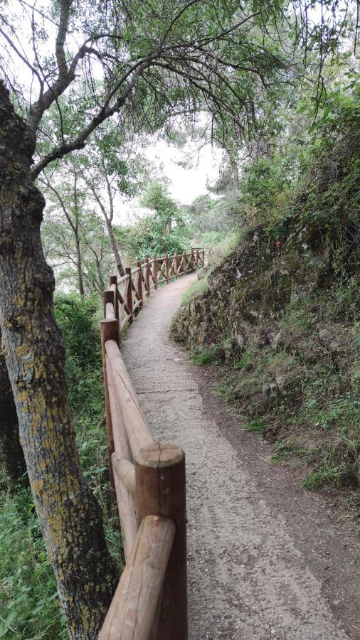 Puente Viejo De Buitrago Casa Encina Daire Buitrago del Lozoya Dış mekan fotoğraf